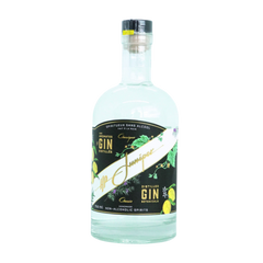 Gin