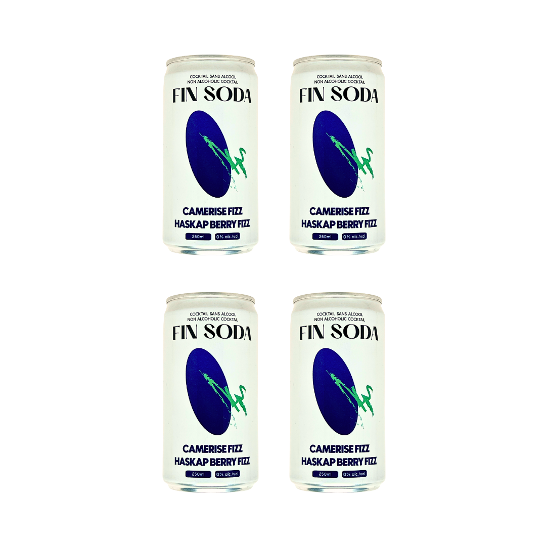 Fin Soda - Haskap Berry Fizz (6 x 4 Pack, 250mL)