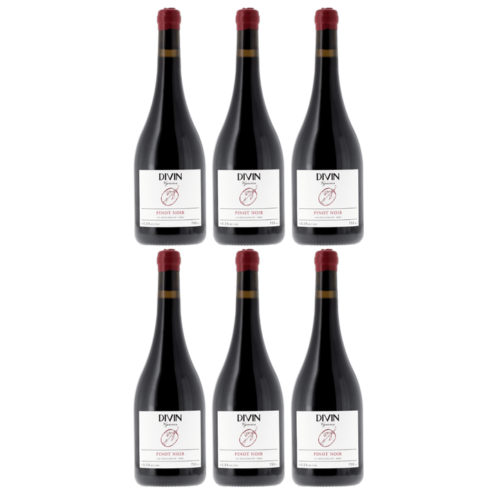 DIVIN - Vigneron - Pinot Noir, non-alcoholic wine, photo 2 of 6