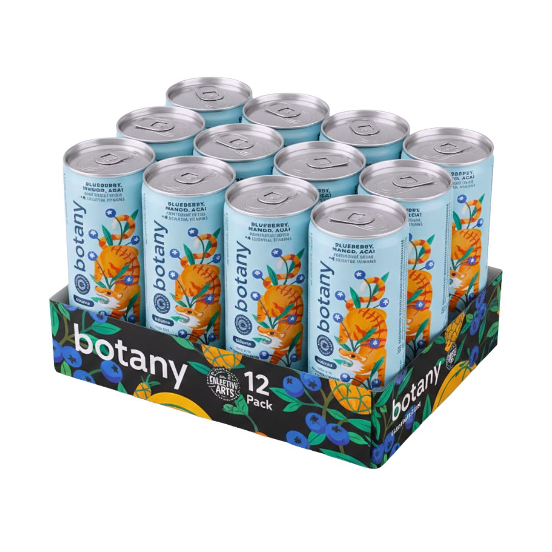 Collective Arts - Botany Adaptogenic Elixir - Blueberry, Mango, Acai (1 x 12 Pack, 355mL)
