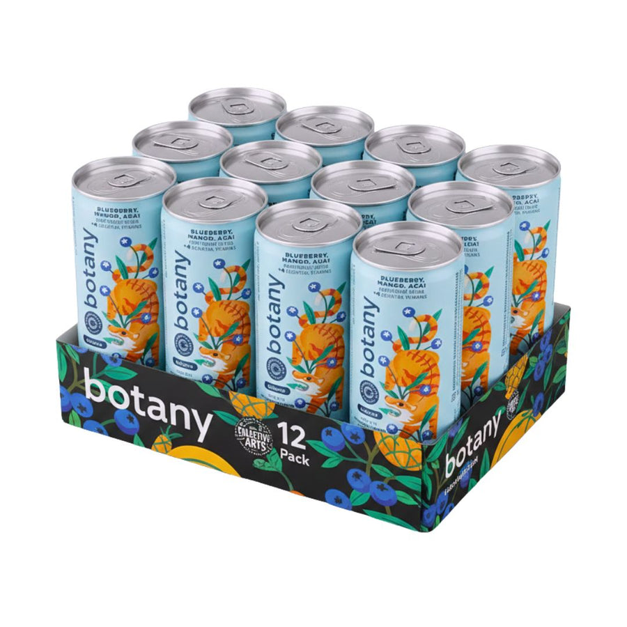 Collective Arts - Botany Adaptogenic Elixir - Blueberry, Mango, Acai (1 x 12 Pack, 355mL)
