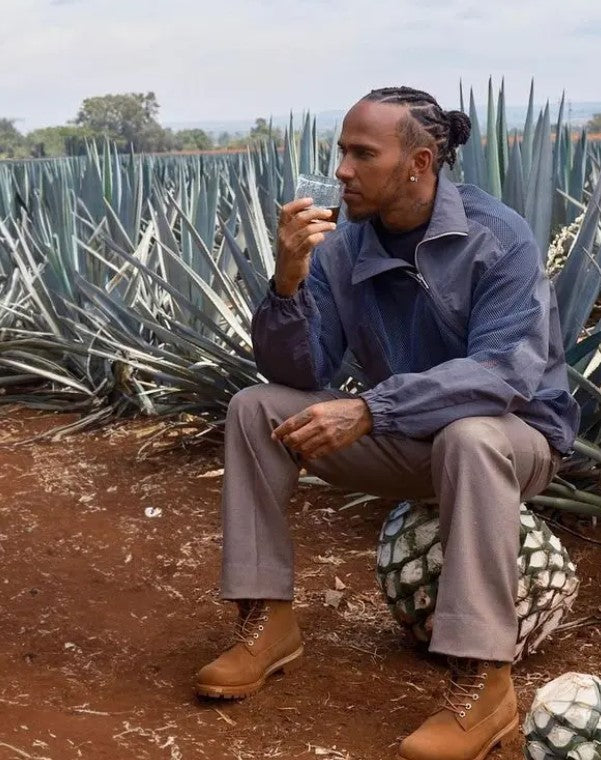 Almave - Blanco Blue Agave - Tequila, non-alcoholic spirit, photo 6 of 6